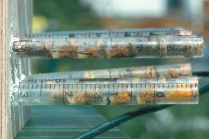 Gef&uuml;llte Kunststoffr&ouml;hrchen im Schaukasten